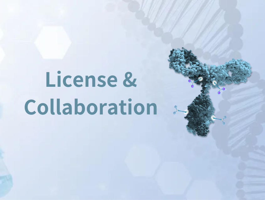 GeneQuantum and WuXi XDC have entered into strategic cooperation to empower innovative bioconjugates development